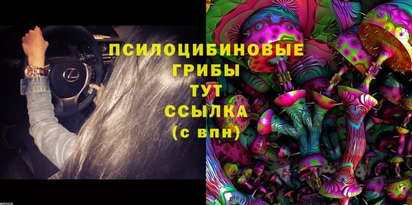 a pvp Арсеньев