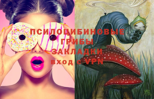 индика Балабаново